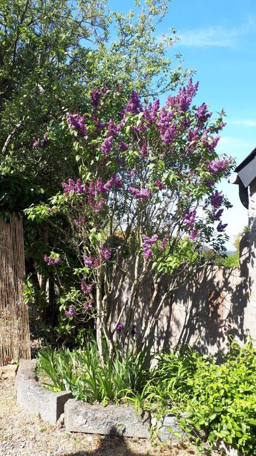 Cote De Granit Rose Villa Pleumeur-Bodou Kültér fotó