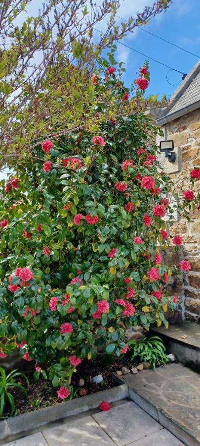 Cote De Granit Rose Villa Pleumeur-Bodou Kültér fotó